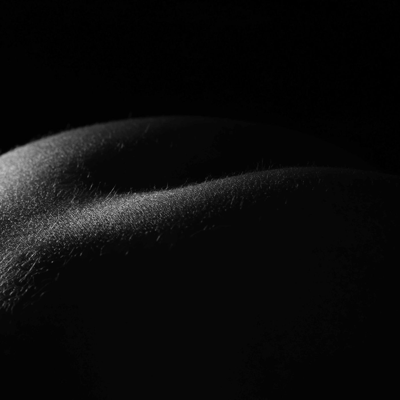 The Slow Rise of the Back